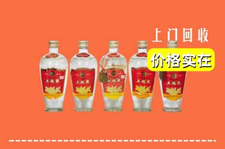 诚信求购:文山富宁县高价回收老五粮液